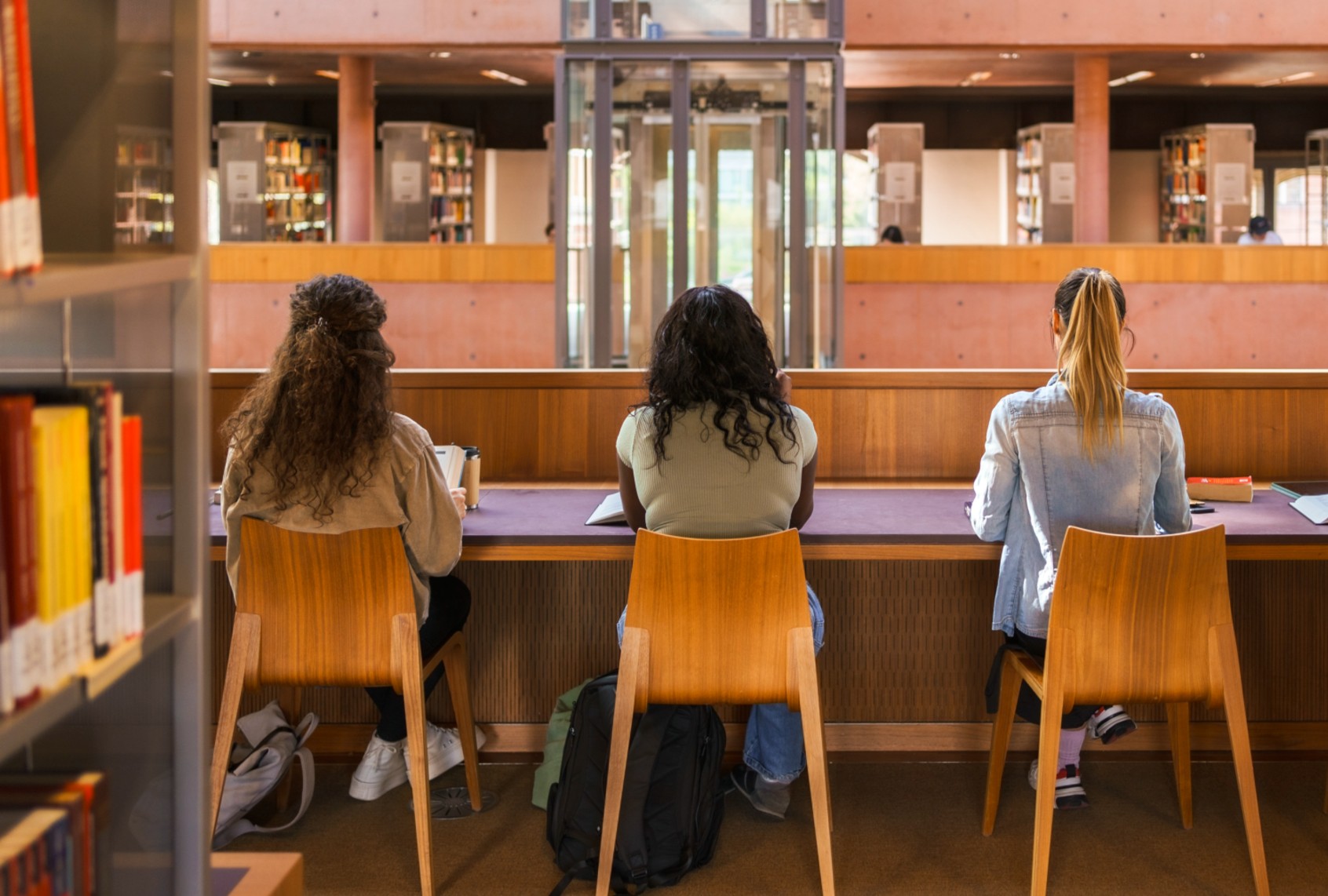 Women studying in a college library (Maskot/Getty Images)