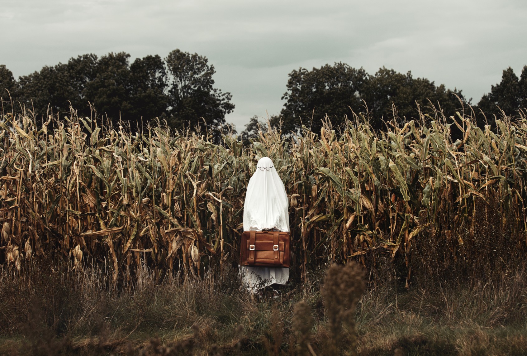 Ghost in a corn field (Massonstock/Getty Images)