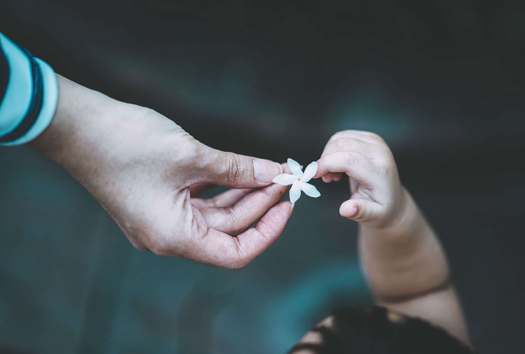Close-Up Of Hand Giving A Child A Flower (Getty Images/Kittichet Tungsubphokin/EyeEm)